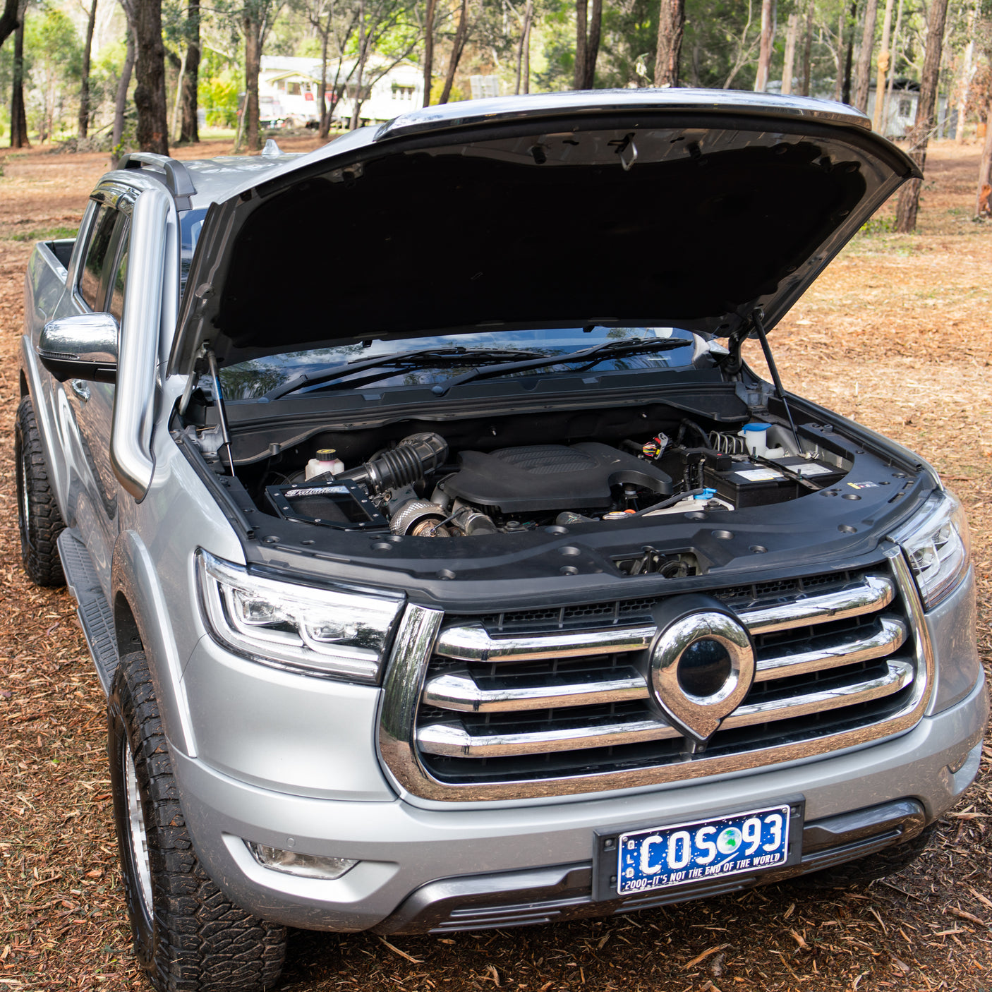 GWM Cannon Short Entry Stainless Snorkel and Pod Filter Alloy Airbox